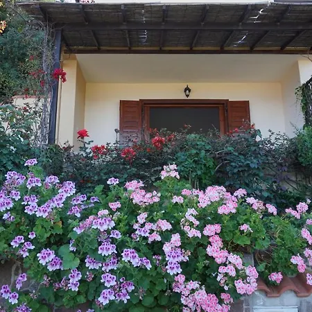 Casa Vacanze Luci D'aurora Costa Rei